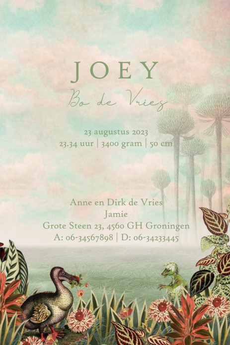 Volgens de laatste trends dit geboortekaartje dinosaurus. De prehistorie met dinosaurussen in alle maten en vormen kunnen ook prima op jullie geboortekaartje staan. Een prachtige prent dinosaurus in gelijkende kleurtonen. Vraag eens een proefdruk aan om h