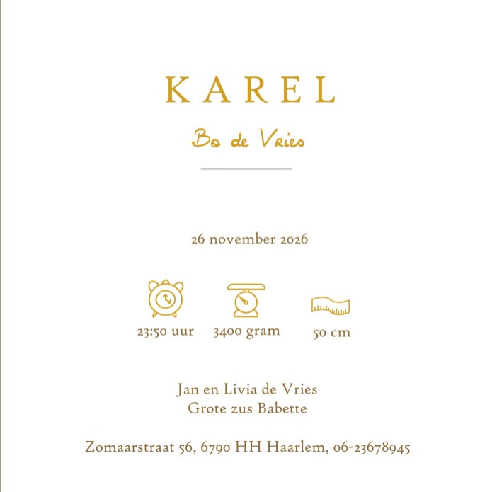 De dinosaurus komt veelvuldig terug op de geboortekaartjes, voor zowel jongens als meisjes. Dit geboortekaartje dinosaurus in mogelijk in foliedruk te drukken en de achtergrondkleur is eenvoudig aan te passen.  De trend van 2023 in geboortekaartjes en een