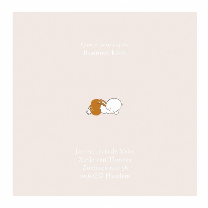 kaart binnenzijde links