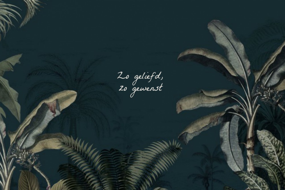 kaart binnenzijde links