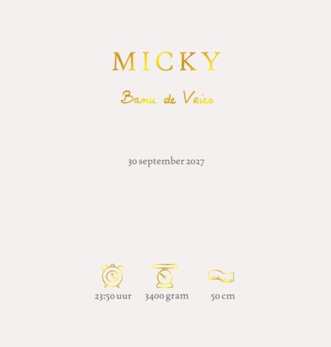 Een heel stijlvol geboortekaartje met kleine eendjes die achter elkaar aan lopen. 3 Eendjes waar je er natuurlijk ook twee eendjes van kunt maken. Of bij een eerste kindje haal je er twee weg. Met folie details, maak eens proefdruk!