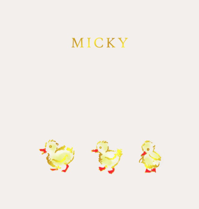 Geboortekaartje 3 eendjes