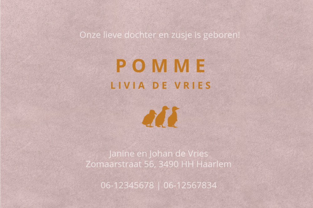 Geboortekaartje velvet look met folie geeft een heel veel warmte aan jullie geboortekaartje. Velours is in verschillende tinten te selecteren voor jouw favoriete look. Klassieke en strakke look met de luxe van folie. Maak eens een proefkaartje en haal jou