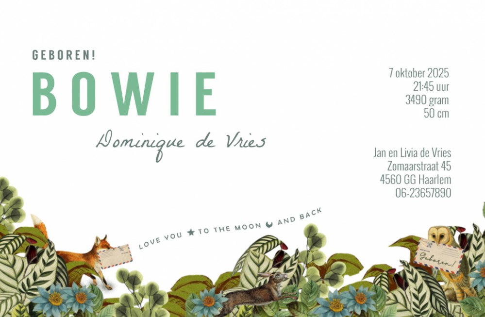 Een geboortekaartje met jullie eigen huis is mogelijk bij Studio POPPY. Informeer eens naar de maatwerk mogelijkheden voor jullie geboortekaartje. Retro vintage stijl maar ook mogelijk in andere stijlen. Vraag de gratis proefdruk aan en beoordeel zelf de 