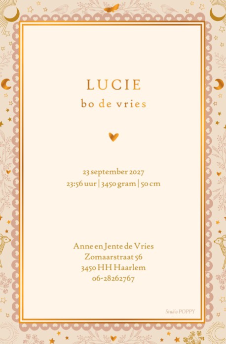 Lief geboortekaartje met de fases van de maan. Een prachtige enkele kaart met decoratief kader. Sterren, maantjes, botanisch, alles zie je terug in dit geboortekaartje. Eentje om in de lijsten en voor altijd te bewaren.