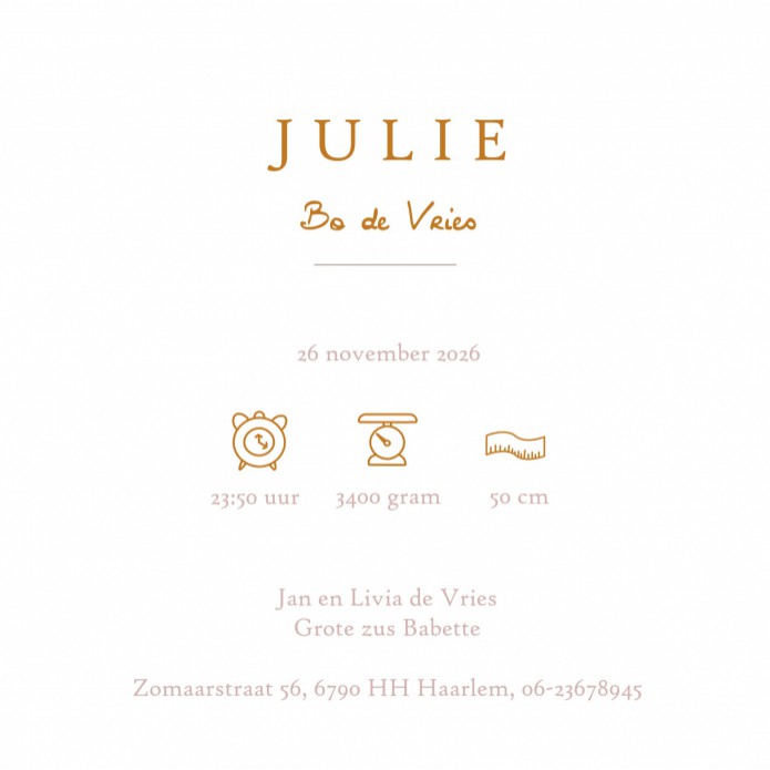 Geboortekaartje met zwaluwen in warme kleuren met folie. Het kaartje is ook zonder folie te drukken. Mooi tijdloos geboortekaartje, klassiek, maar met een twist. Vraag eens een proefkaart aan om jullie kaartje alvast in het echt te kunnen bewonderen.