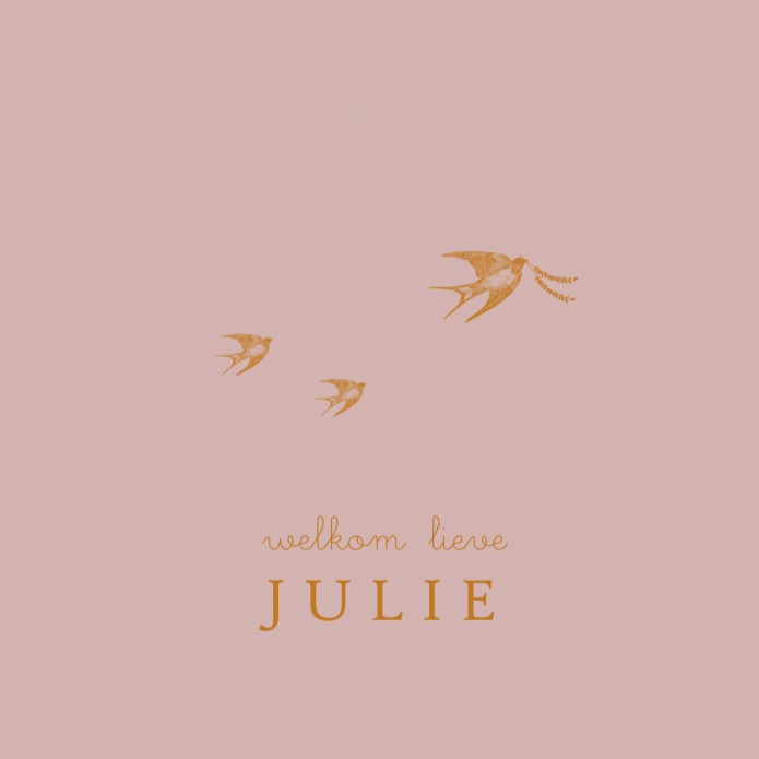 Geboortekaartje met zwaluwen