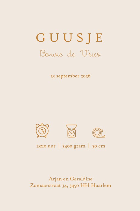 Geboortekaartje met vosjes in folie. Een prachtige serene geboortekaart in ton sur ton kleuren die je zelf kunt aanpassen. Gebruik van goudfolie is ook mogelijk. De bosdieren zijn niet weg te denken in de trends onder geboortekaartjes. Vraag eens een proe