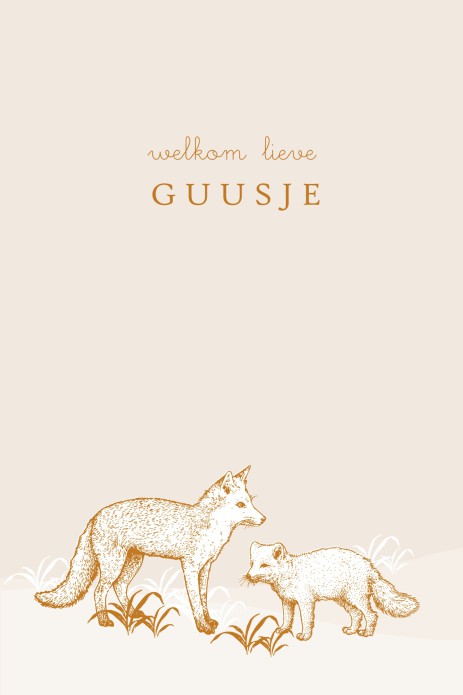 Geboortekaartje foliedruk bosdieren