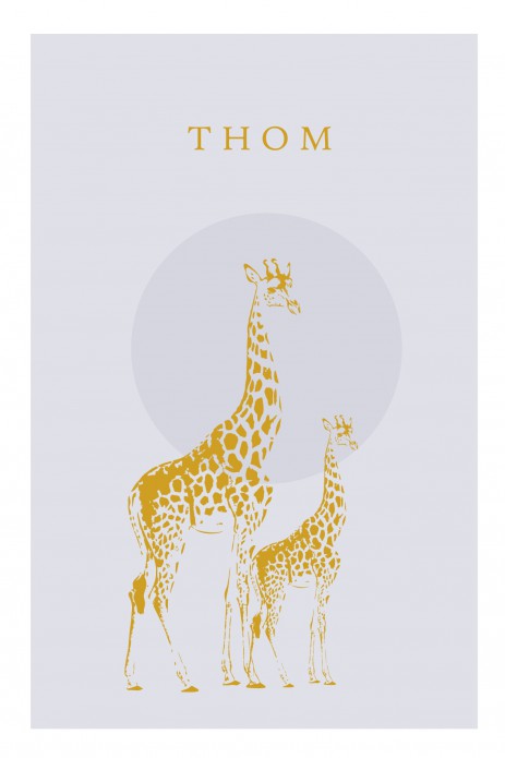 Geboortekaartje foliedruk giraffe jongen