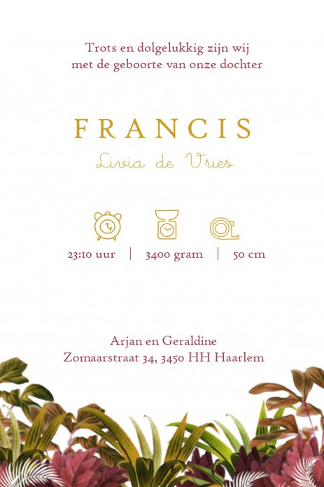 Een heel stijlvol geboortekaartje met panters en palmbomen. Beetje retro maar vooral een heel illustratief geboortekaartje waar je zelf items aan toe kunt voegen of kunt weghalen. Experimenteer ook zelf eens met de kleuren. Een gratis proefkaartje is een 