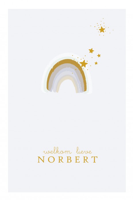 Geboortekaartje foliedruk regenboog jongen