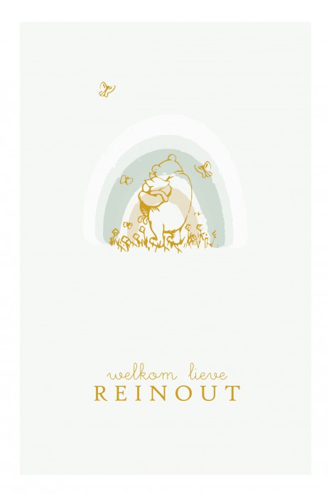 Geboortekaartje foliedruk regenboog Winnie the Pooh