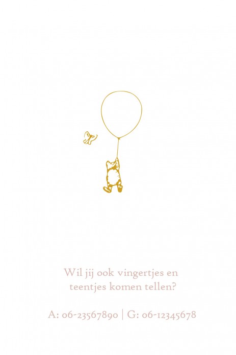 kaart binnenzijde links