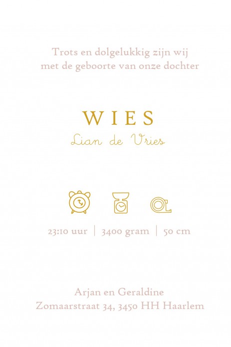 Geboortekaartje foliedruk regenboog Winnie the Pooh. Er is keuze in 4 soorten foliedruk, zilver, goud, koper en rosegoud. Vraag eens een gratis proefkaart aan en bekijk zelf eens de prachtige kwaliteit van het geboortekaartje. Een unieke aankondiging.