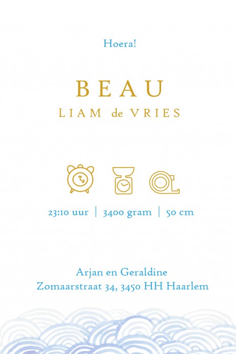 Geboortekaartje foliedruk walvis met watercolour. Foliedruk geboortekaartjes zijn niet meer weg te denken. Ze geven jullie bijzondere geboortekaartje een chique uitstraling en eentje om voor altijd te bewaren. Bepaal zelf wat in foliedruk wil hebben, wij 