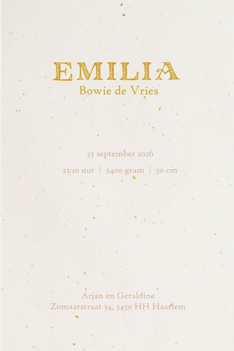 Een heel stijlvol geboortekaartje in folklore look. Prachtig illustratief geboortekaartje met vele details in Scandinavische stijl. Accenten folie zijn een mogelijkheid maar je kunt het ook in kleur houden. De kleuren zijn zorgvuldig gekozen, vraag eens e