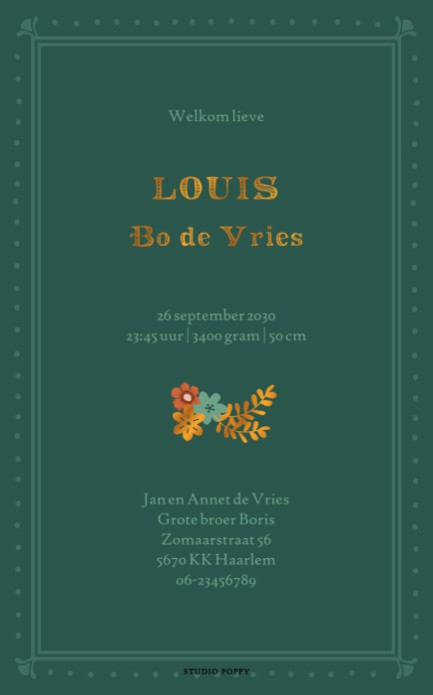 Geboortekaartje folklore en Scandinavische invloeden. De bosdieren zijn illustratief gerangschikt in prachtige kleuren. Met behulp van de beeldbank kun je ze precies ordenen zoals jij dat wil.