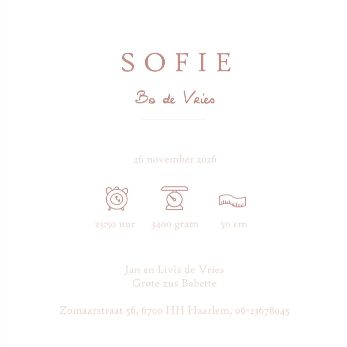 Een Scandinavisch geïnspireerde geboortekaart met folklore invloeden. Geboortekaartje met gekleurde bloemen die je zelf kunt rangschikken. Veel kleur en hand getekende elementen. Ze zijn zelf te rangschikken en met de beeldbank kun je het geboortekaartje 