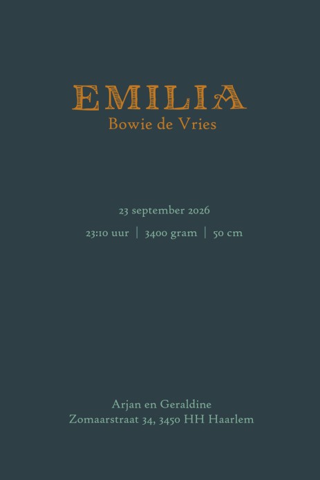 Een heel stijlvol folklore geboortekaartje in vrolijke illustratieve stijl. Prachtig illustratief geboortekaartje met vele details in Scandinavische stijl. Accenten folie zijn een mogelijkheid maar je kunt het ook in kleur houden. De kleuren zijn zijn zor