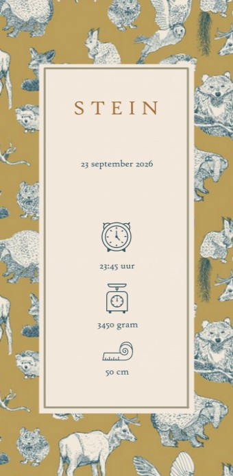 Geboortekaartje 'Forest Friends' van Annet Weelink Design.