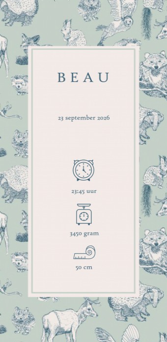 Geboortekaartje 'Forest Friends' van Annet Weelink Design.