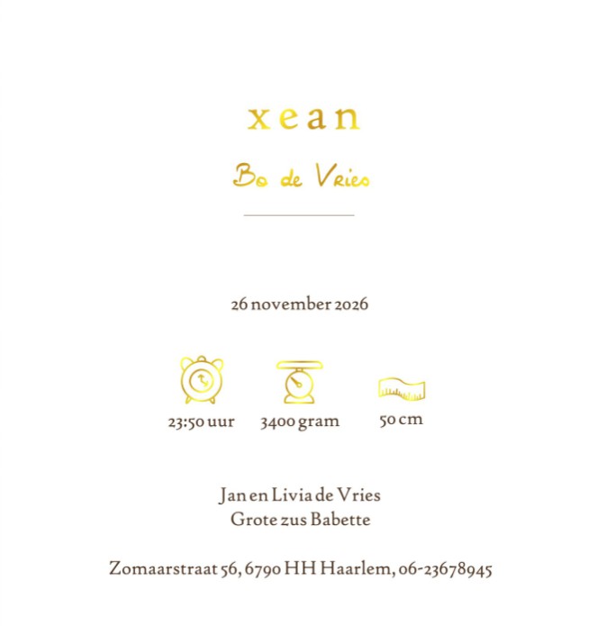 Geboortekaartje forest met bosdieren vintage bruin. Een sprookjesachtig bos met hert, beren en konijn in mono tinten. Verkrijgbaar in vintage groen, bruin en blauw, uniseks en genderneutraal geboortekaartje in romantisch hippe stijl. Bosdieren komen kijke