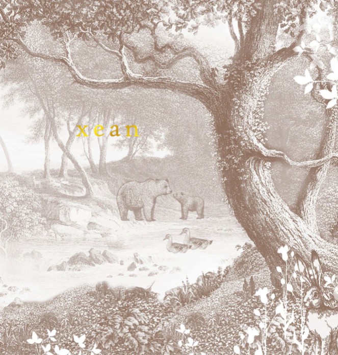 Geboortekaartje forest met bosdieren vintage