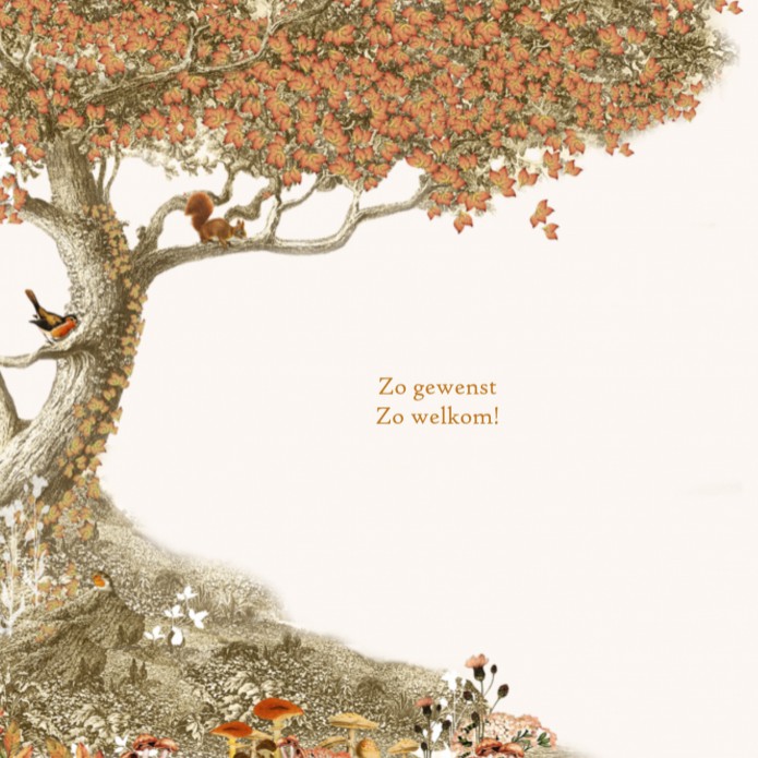 kaart binnenzijde links