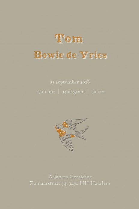 Een heel bijzonder vintage geboortekaartje in offset look met neon look accenten. Vintage circus met tijger, sterke man, pierrot, olifant en circustent op een smaakvolle manier geïllustreerd. Circus spreekt tot de verbeelding, een magische wereld dat zich