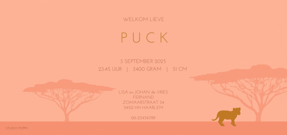 Een heel stijlvol geboortekaartje met leeuwen gezin in warme kleuren, thema Afrika. Je kunt een leeuw toevoegen of weghalen. Mooiste papiersoorten voor een uniek geboortekaartje. In de editor kun je zelf jouw favoriete kleuren en lettertypen selecteren. M