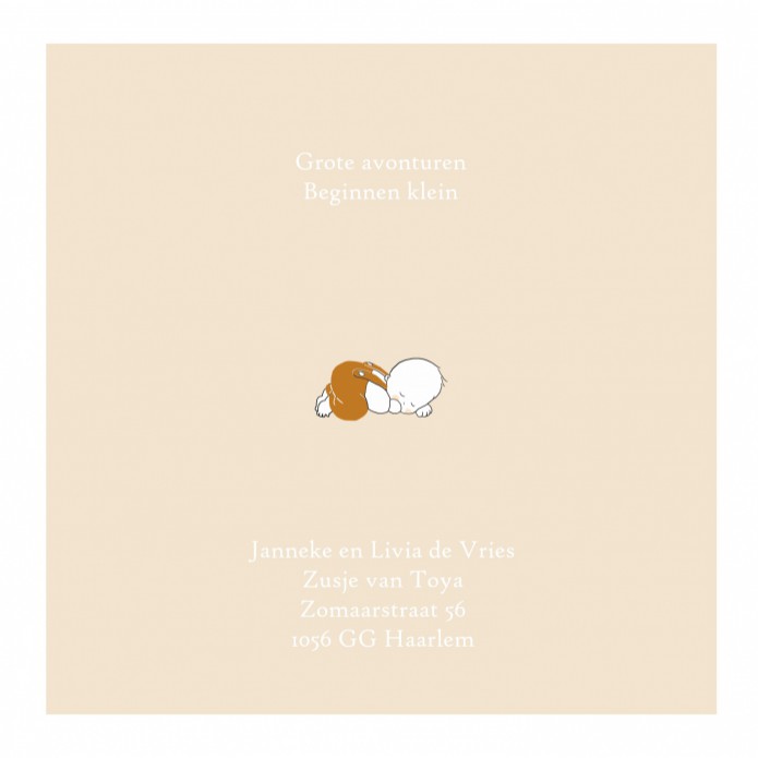 kaart binnenzijde links