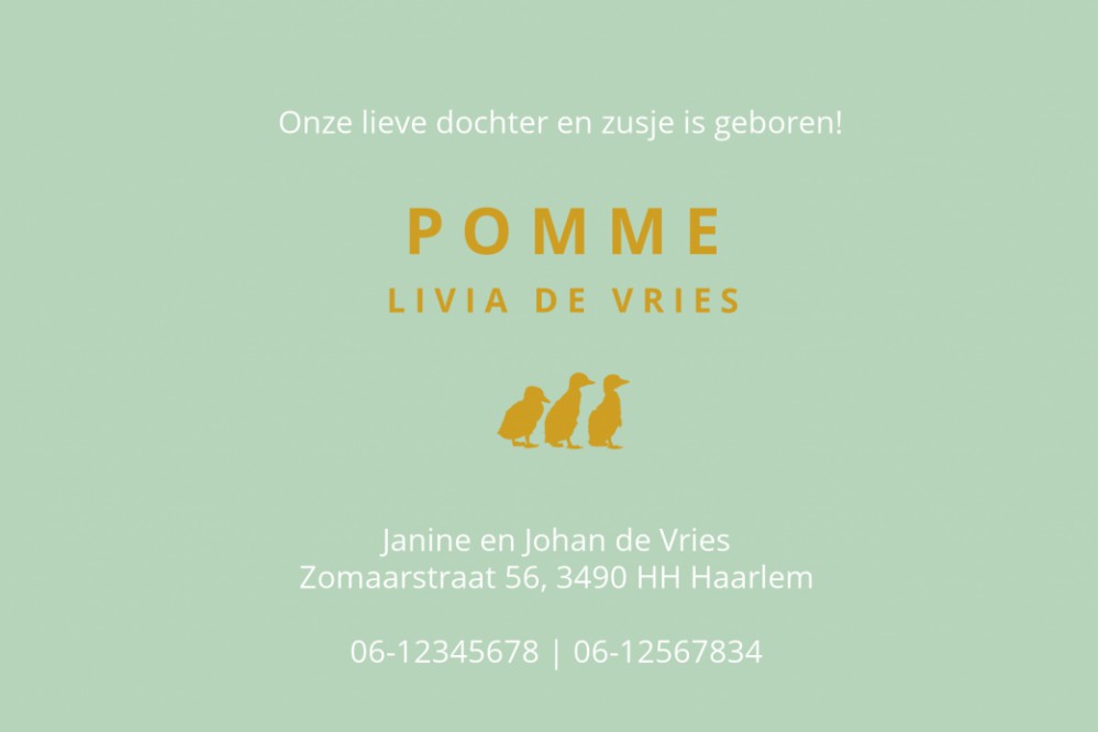 Geboortekaartje mint met foliedruk eendje. Foliedruk geboortekaartjes zijn niet meer weg te denken. Ze geven jullie bijzondere geboortekaartje een chique uitstraling en eentje om voor altijd te bewaren. Bepaal zelf wat in foliedruk wil hebben, wij helpen 