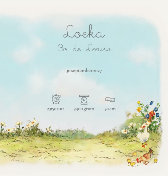  Geboortekaartje baby in mandje met grote broer. In de tuin bloeien de bloemen en de eekhoorns, kat en ganzen komen een kijkje nemen naar de nieuwe baby. Lief geboortekaartje in de lente met bosdieren.