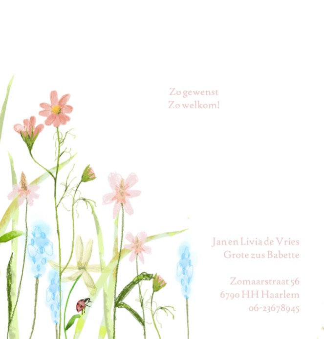 kaart binnenzijde links