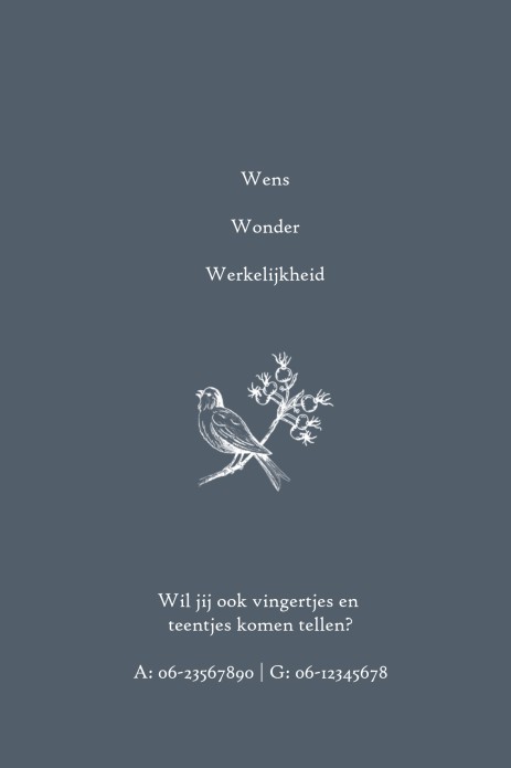 kaart binnenzijde links