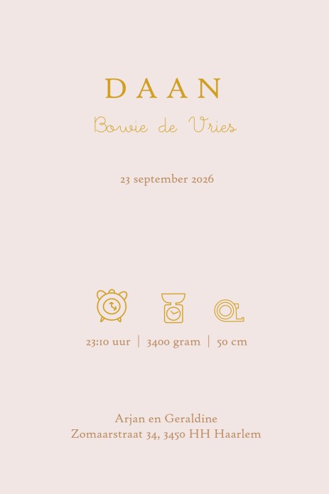 Een heel stijlvol geboortekaartje met hangwiegje en voile gordijntje. Heel lief geboortekaartje waar je met de beeldbank zelf ook nog huisdieren aan toe kunt voegen. Een lief babybedje of babywiegje is een toepasselijk maar ook herkenbaar beeld voor een g