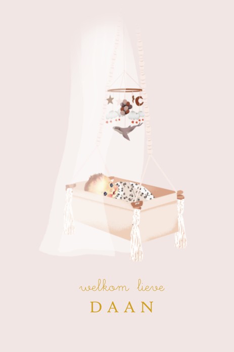 Geboortekaartje hangwiegje met kat
