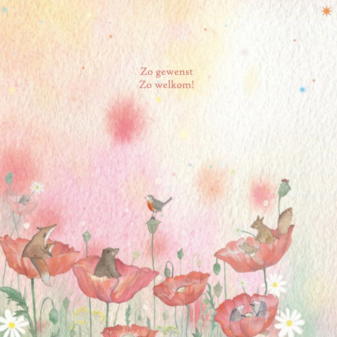 kaart binnenzijde links