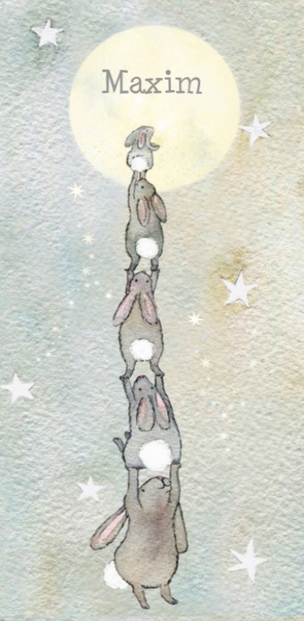 Geboortekaartje Hartendief rabbit tower