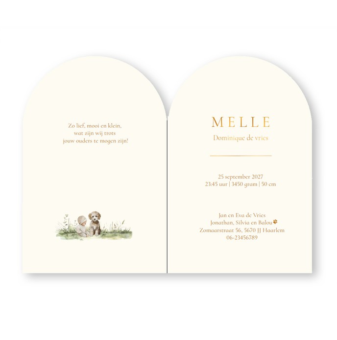 Geboortekaartje met boog met handgeschilderde natuur. Het gezinnetje in watercolor speelt ook een belangrijke rol op het geboortekaartje. Broer en zus trekken de trekkar naar de molen toe en gaan op het hek zitten.