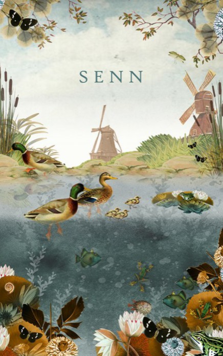 Geboortekaartje Hollands slootje met eenden