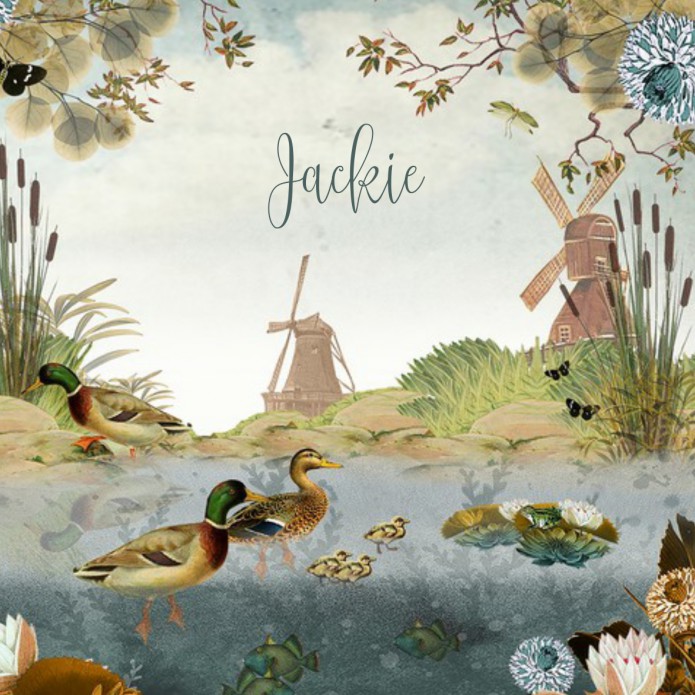 Geboortekaartje Holland met molens en eendjes