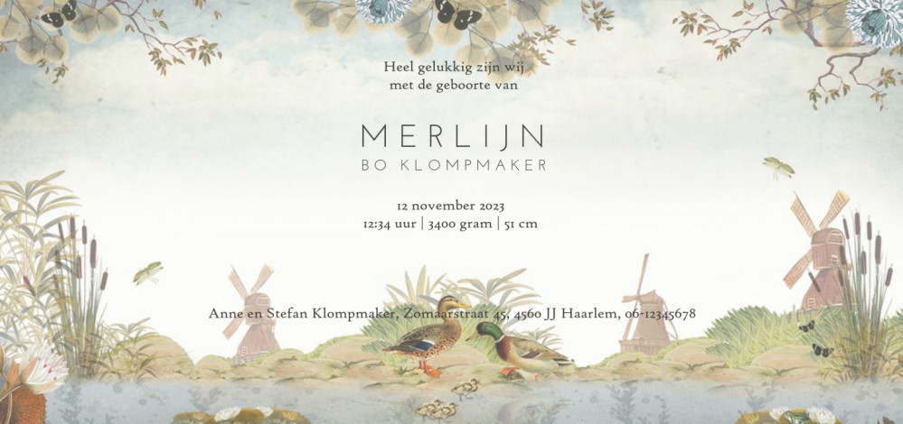 Geboortekaartje Hollands landschap met molens en eenden.  Aandoenlijke en nostalgische verhaaltjes om jullie kindje aan te kondigen. Lief geboortekaartje met vintage vleugje dat toch ook tijdloos is. Maak eens een proefkaart en gebruik de beeldbank om jou