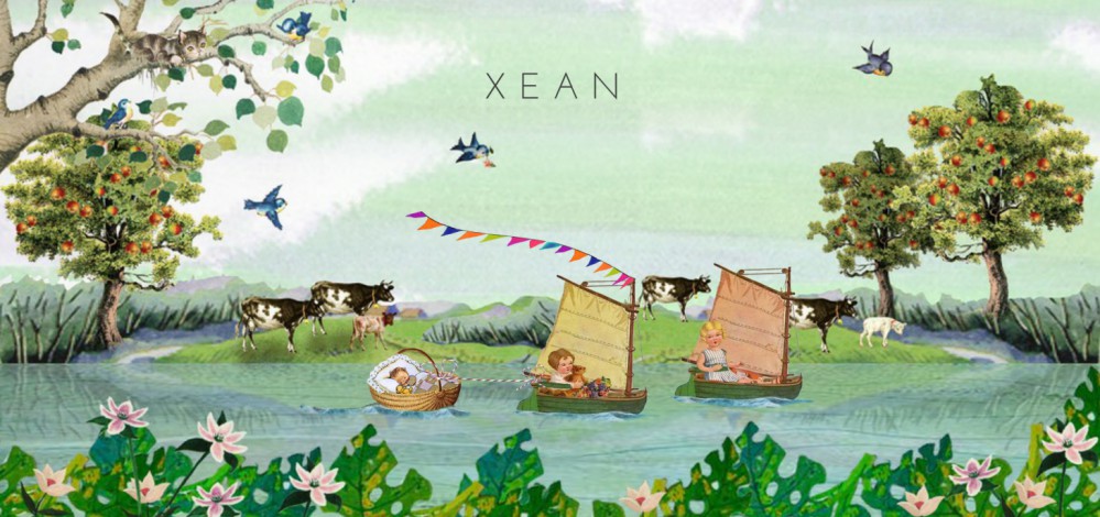 Geboortekaartje met Hollandse sloot en bootjes