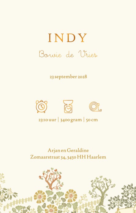 Lief geboortekaartje met huisjes, molen en bloemen. Een dorps tafereel met tuintjes en hekjes. Een sereen geboortekaartje dat ook illustratief is in mooie zachte kleuren. Bestel eens een proefdruk om de kaart in het echt te kunnen bekijken en bewonderen!