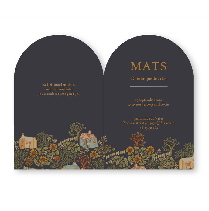 Geboortekaartje dorp met huisjes in boogvorm. De warme kleuren en bijzondere illustraties maken het een bijzonder geboortekaartje. Het illustratieve kader is in verschillende kleuren op te maken dus geheel naar wens aan te passen. Het kerkje, hekjes en hu