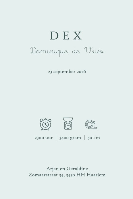 Uniek geboortekaartje met dieren uit het bos. Prachtige met de hand getekende illustraties in warme ton sur ton tonen. De kleuren matchen prachtig met elkaar en zorgt voor een sereen illustratief geboortekaartje. Een bosdieren geboortekaartje waar je als 