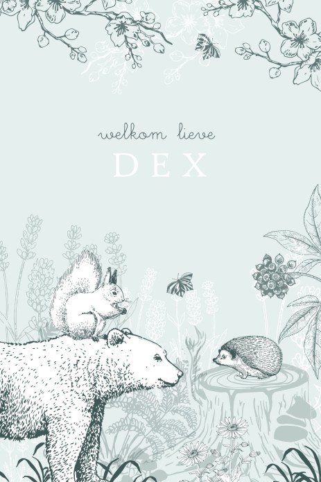 Geboortekaartje illustratief dierenbos