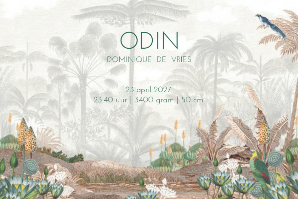 Geboortekaartje retro vintage met dinosaurus. Een prachtig botanisch geboortekaartje met dieren uit de prehistorie. Een beetje stoer maar ook smaakvol geïllustreerd. Illustratief geboortekaartje voor zowel jongens als meisjes. Vraag eens de gratis proefka